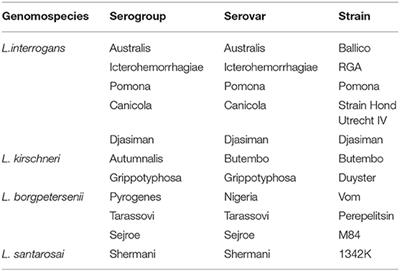 Leptospira Seroprevalence Among Ugandan Slaughter Cattle: Comparison of Sero-Status With Renal Leptospira Infection